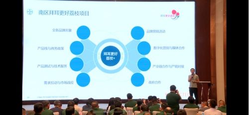 全國荔枝主產(chǎn)區(qū)種植面積達(dá)810萬畝 如何實現(xiàn)荔枝產(chǎn)業(yè)興旺